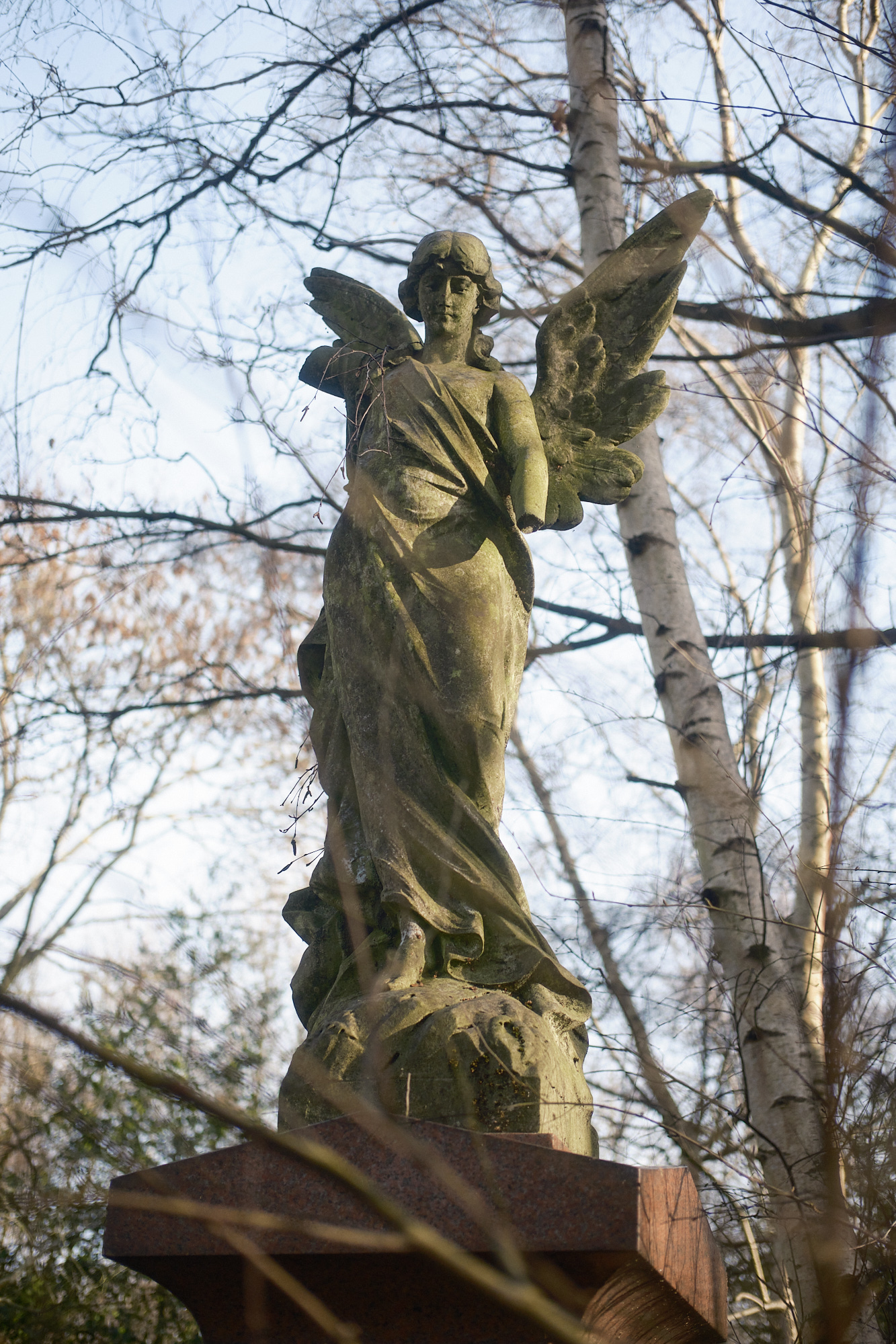 Abney Park, London - Photograph by James Johnstone