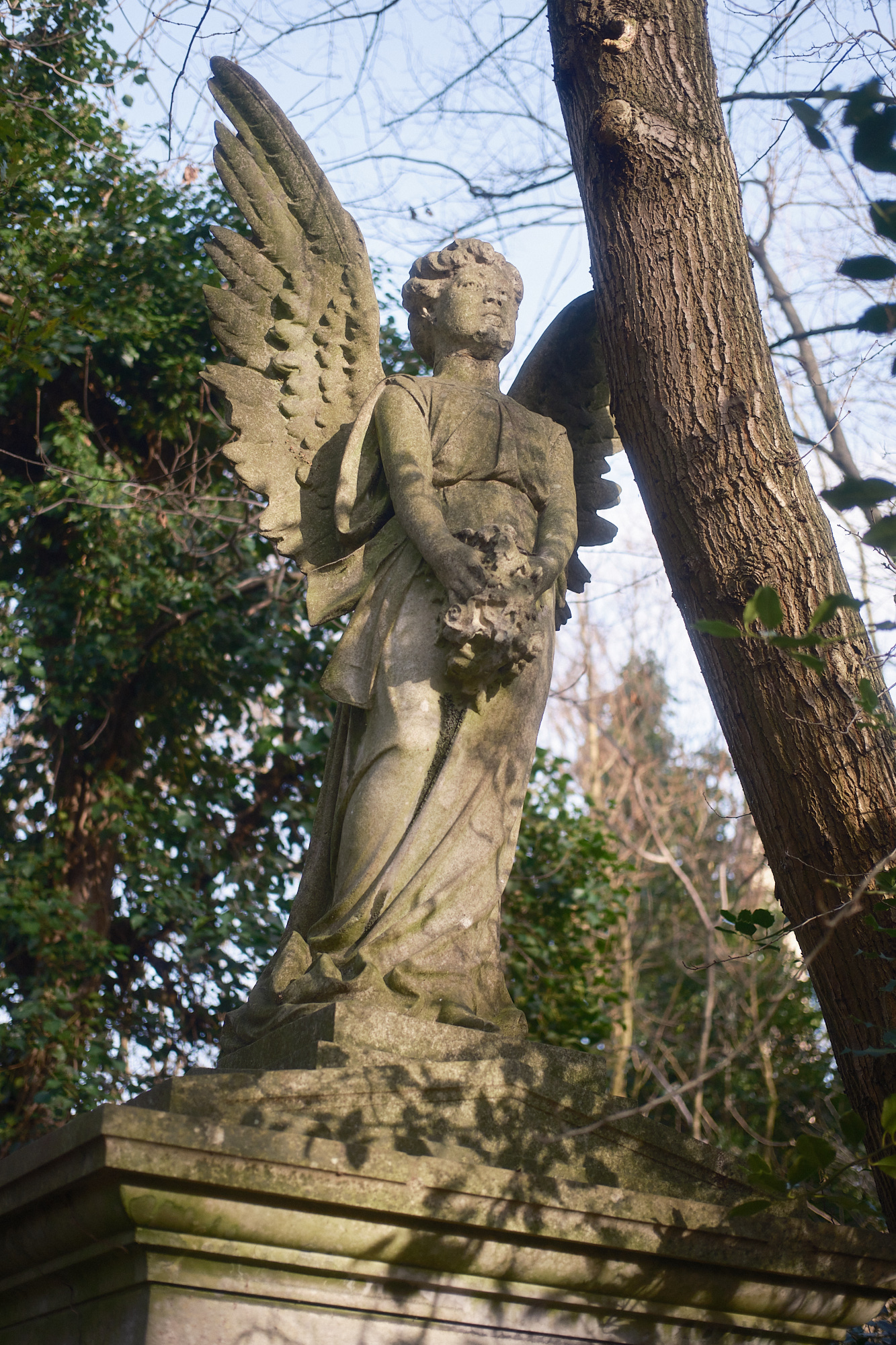 Abney Park, London - Photograph by James Johnstone