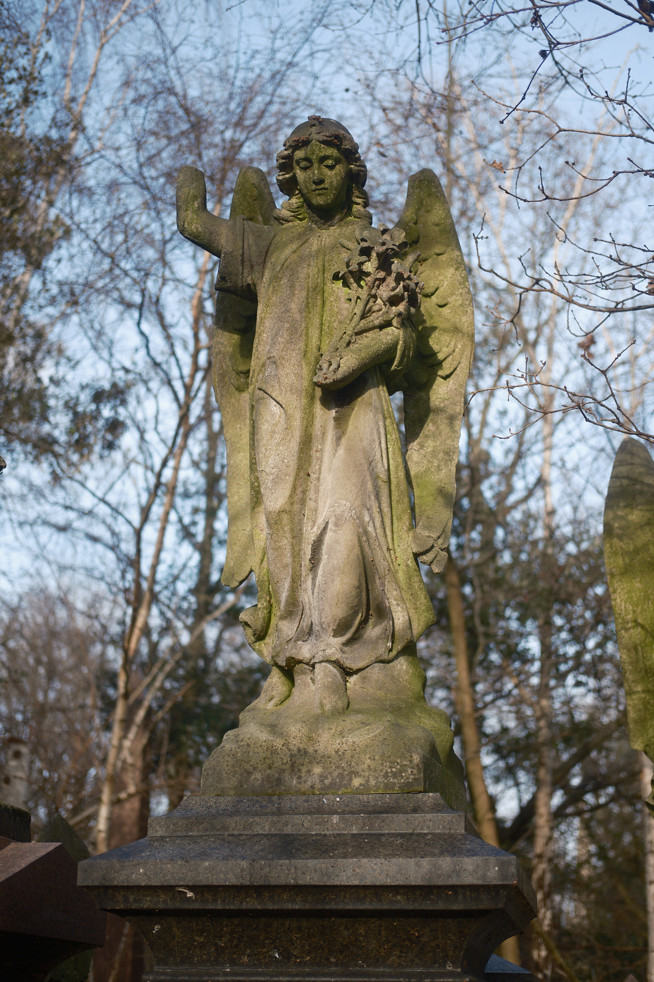 Abney Park, London - Photograph by James Johnstone