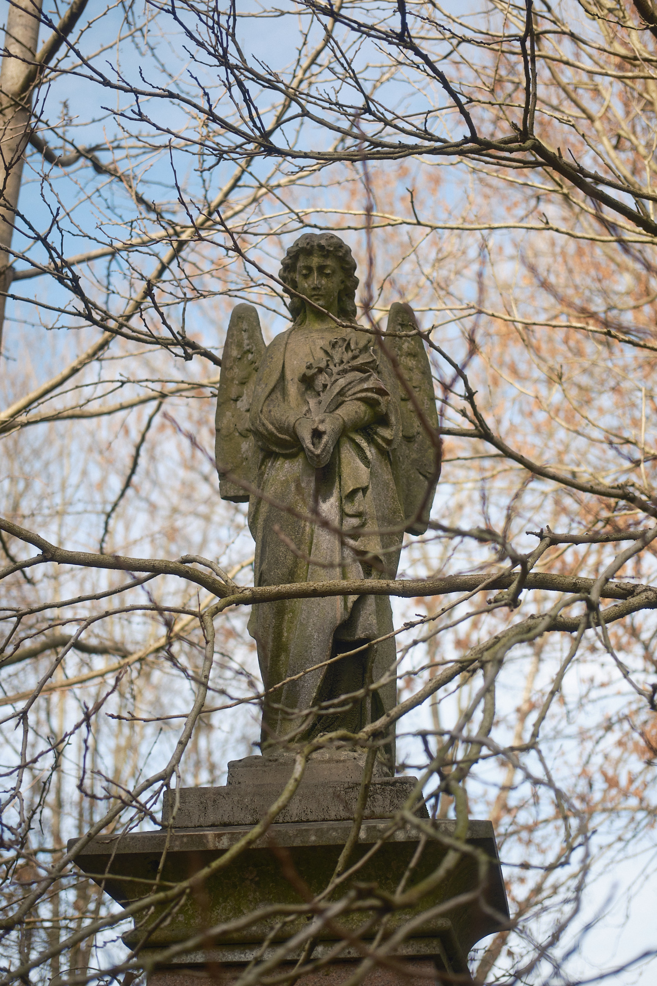 Abney Park, London - Photograph by James Johnstone