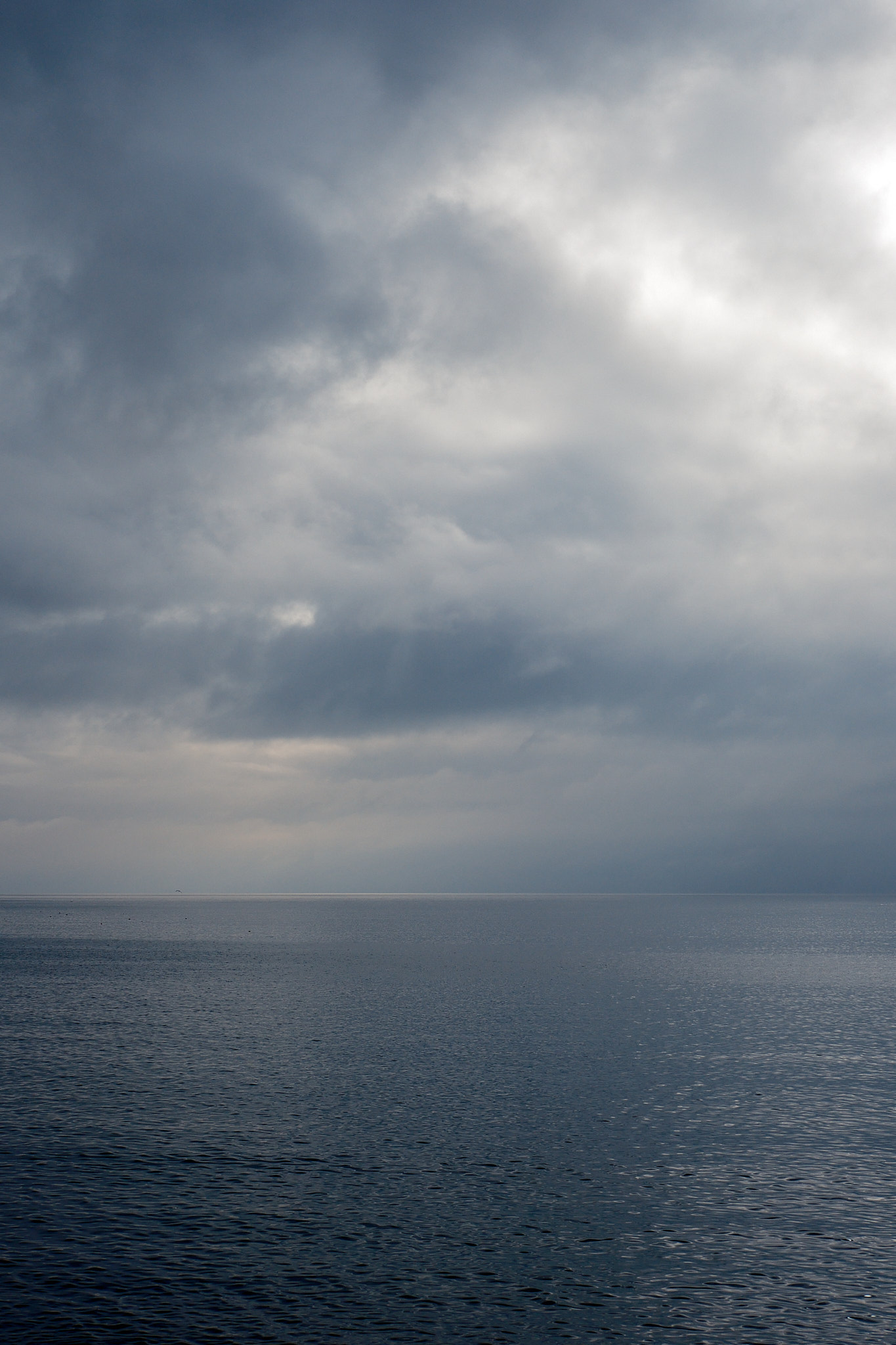 The Moray Firth- May 2024