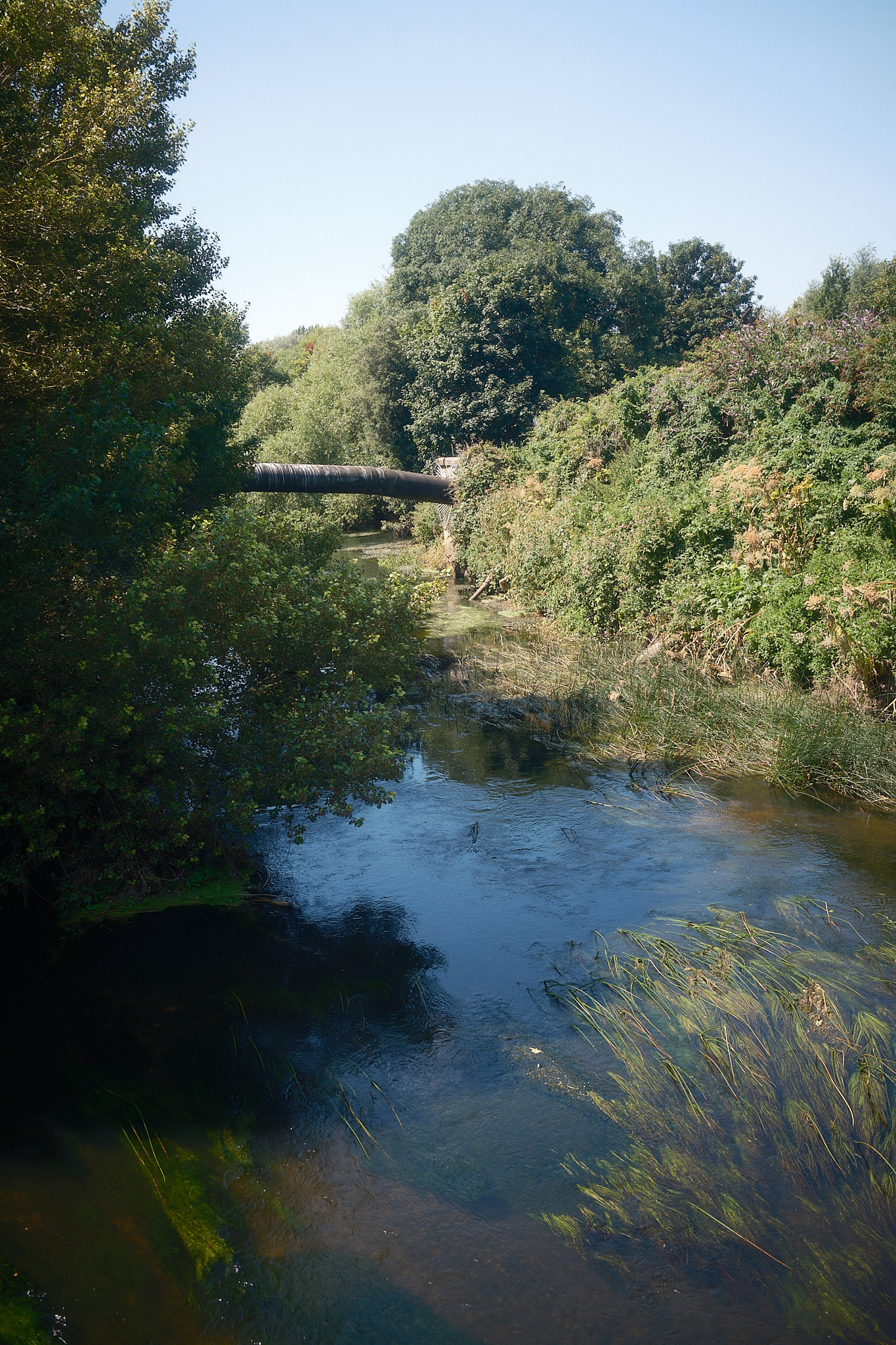 lee river hackney marsh
