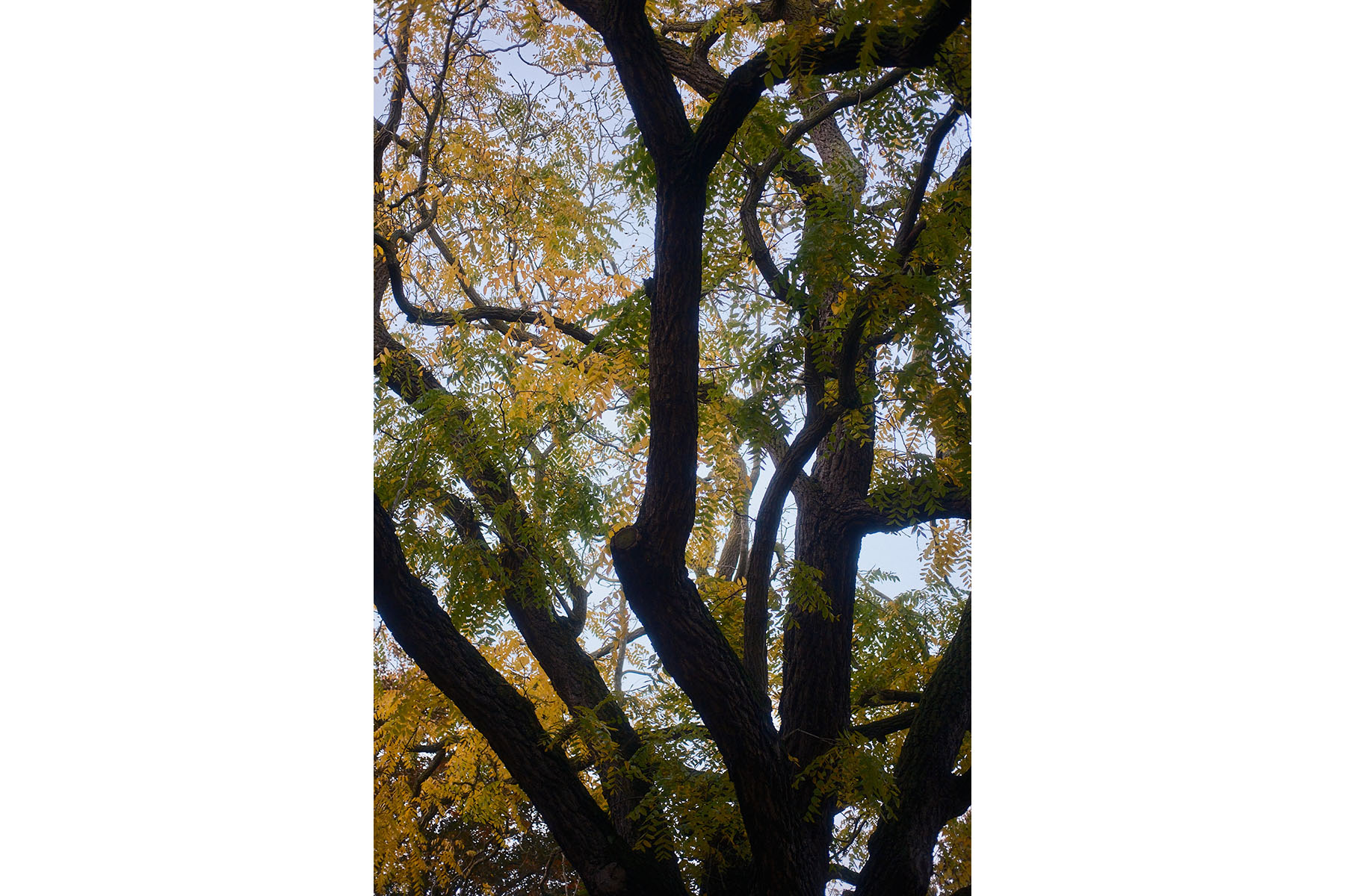James Johnstone - Springfield park - Travel photography