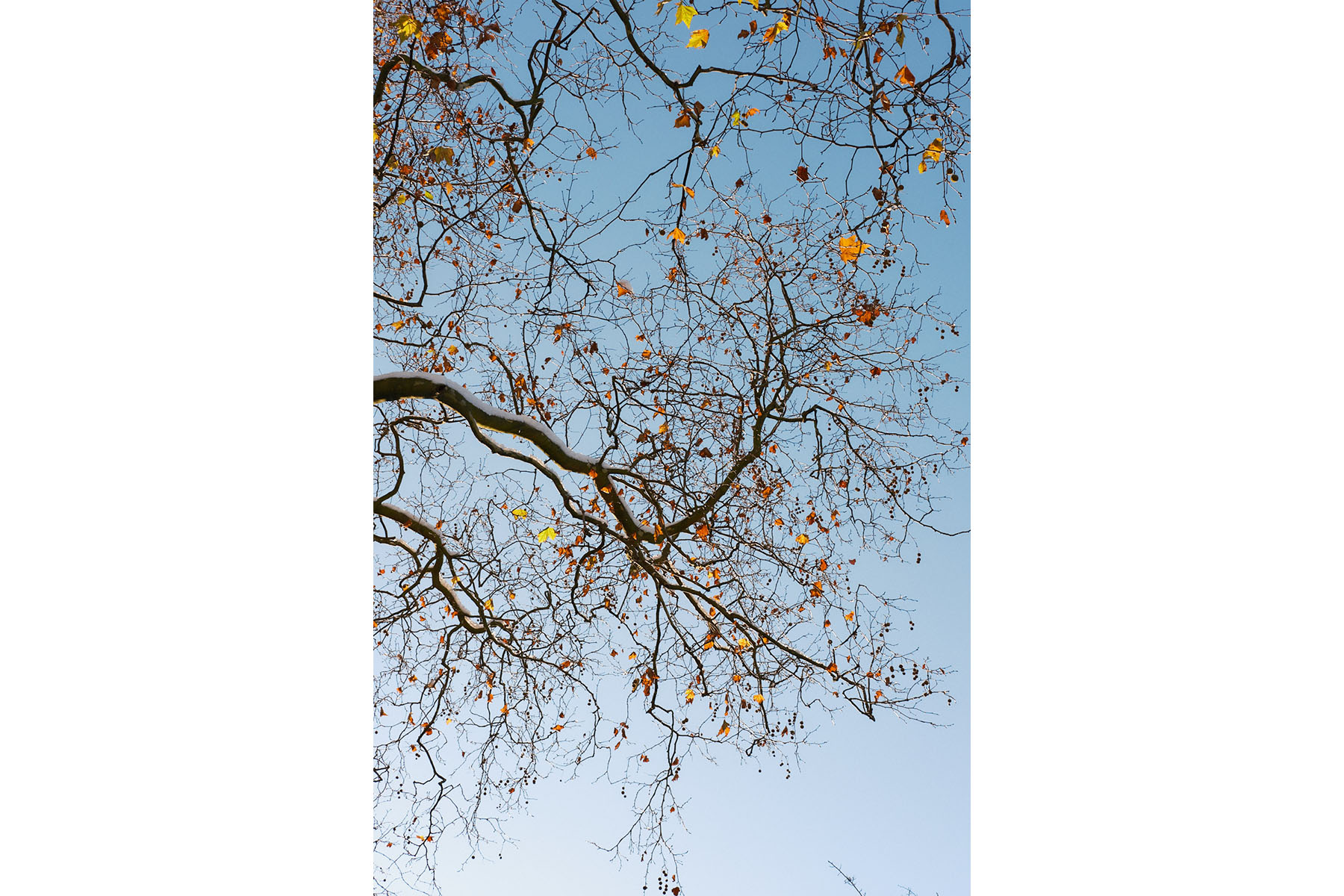 James Johnstone - Springfield park - Travel photography