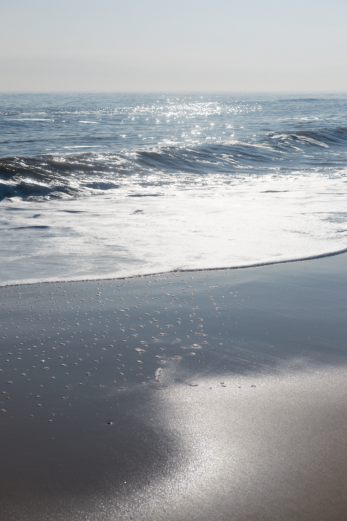 Suffolk Coast 2024