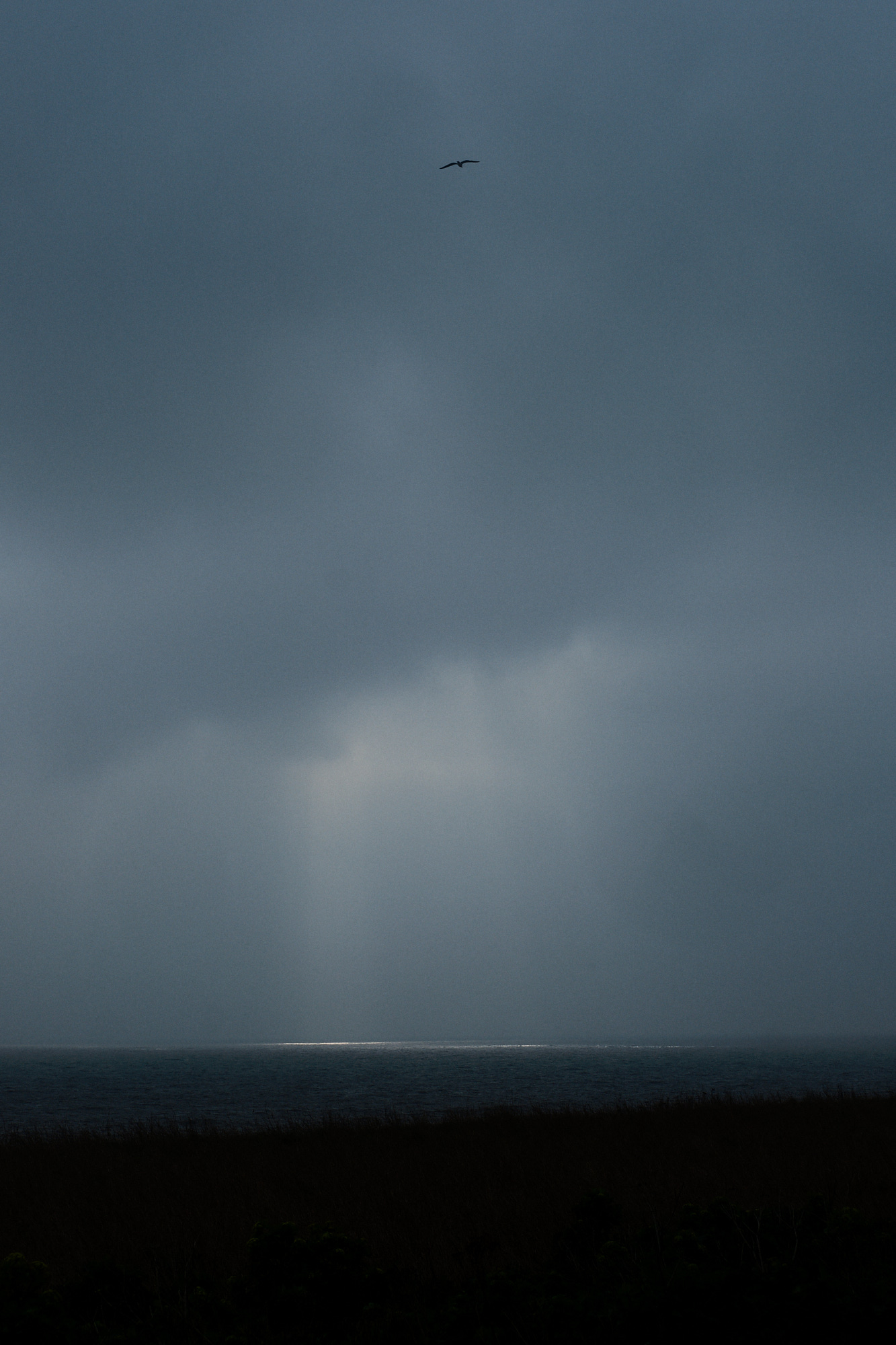 Suffolk Coast 2024