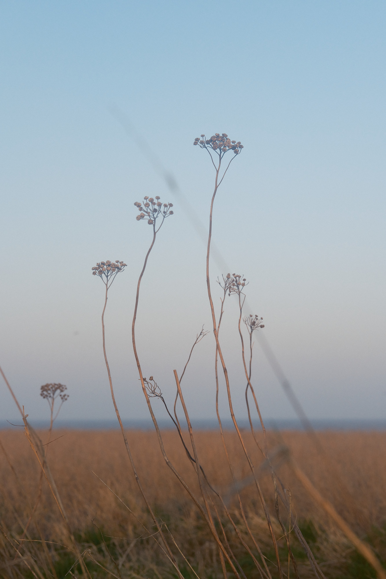 Suffolk Coast 2024