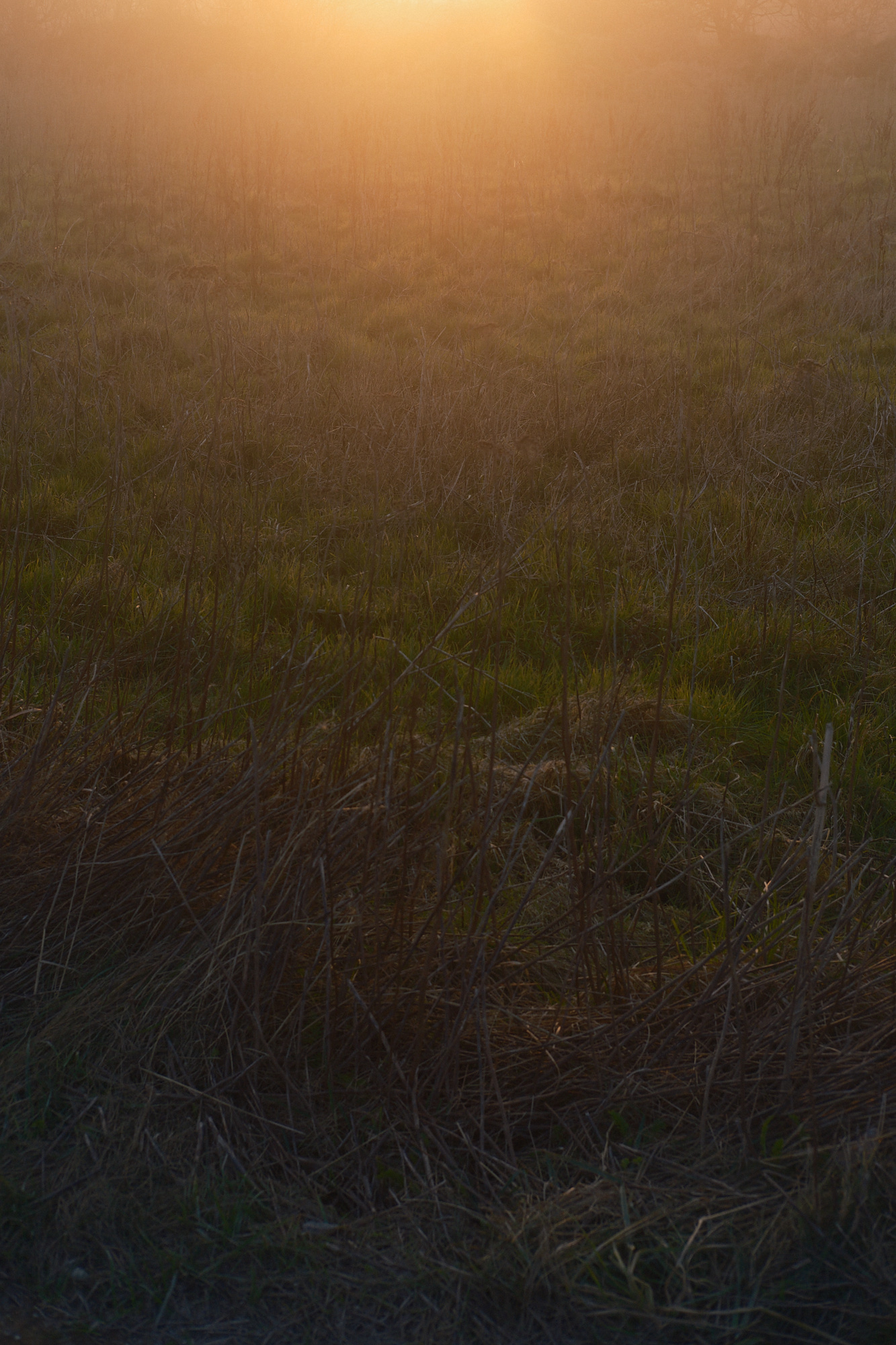Suffolk Coast 2024